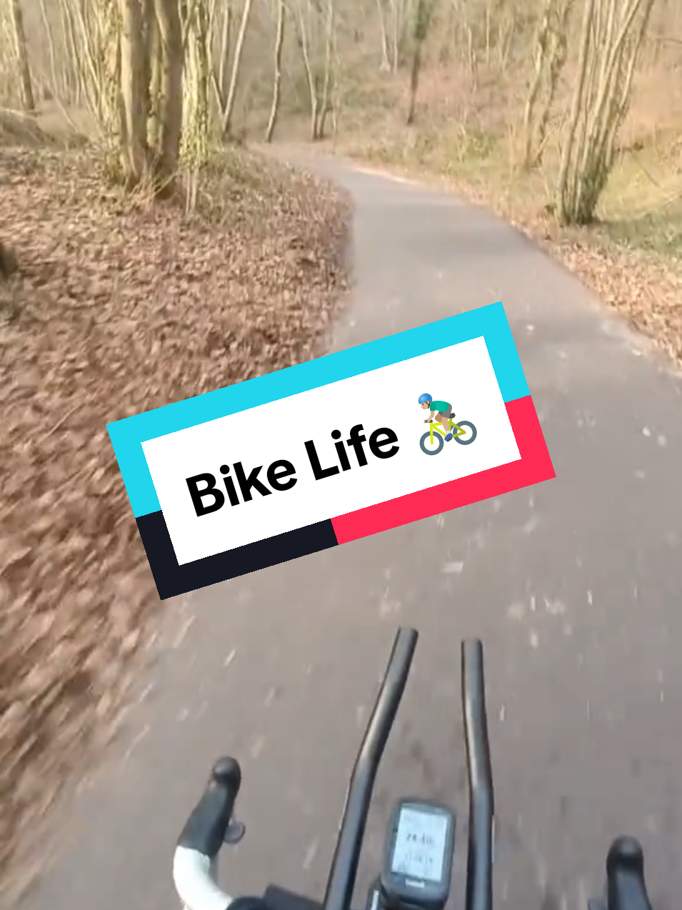 @mob_eure_van_lifer