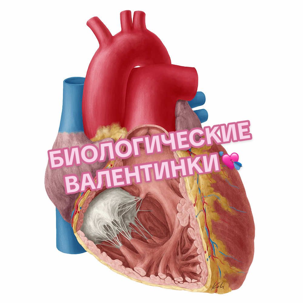 @Лизоцитоз