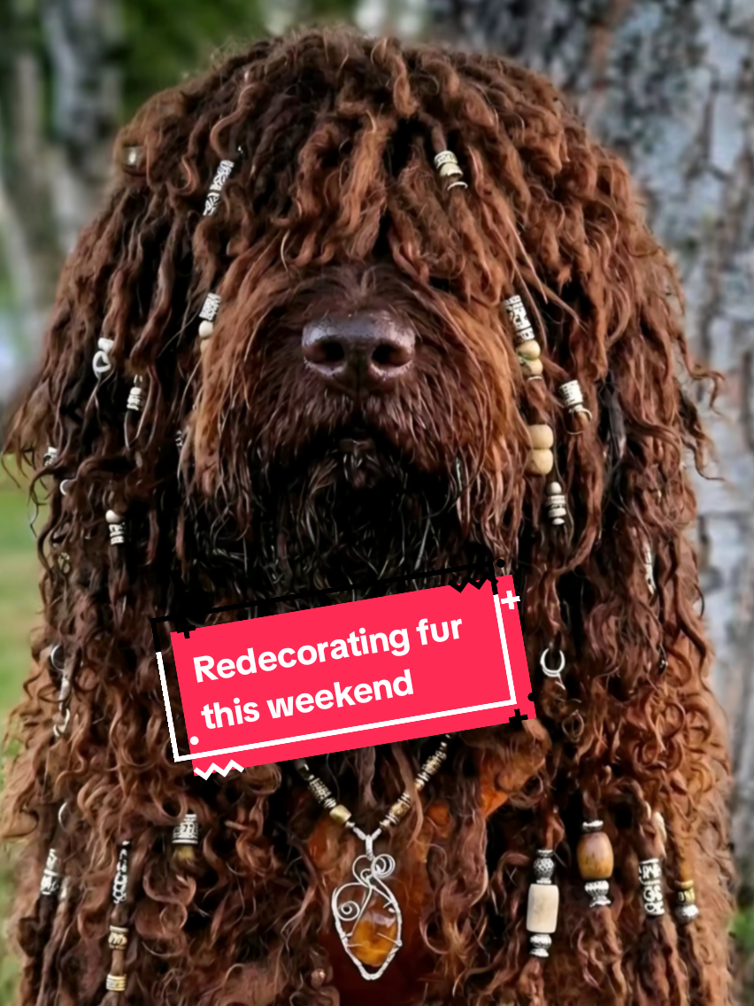@🐾✨️mhdogs✨️🐾🇸🇪