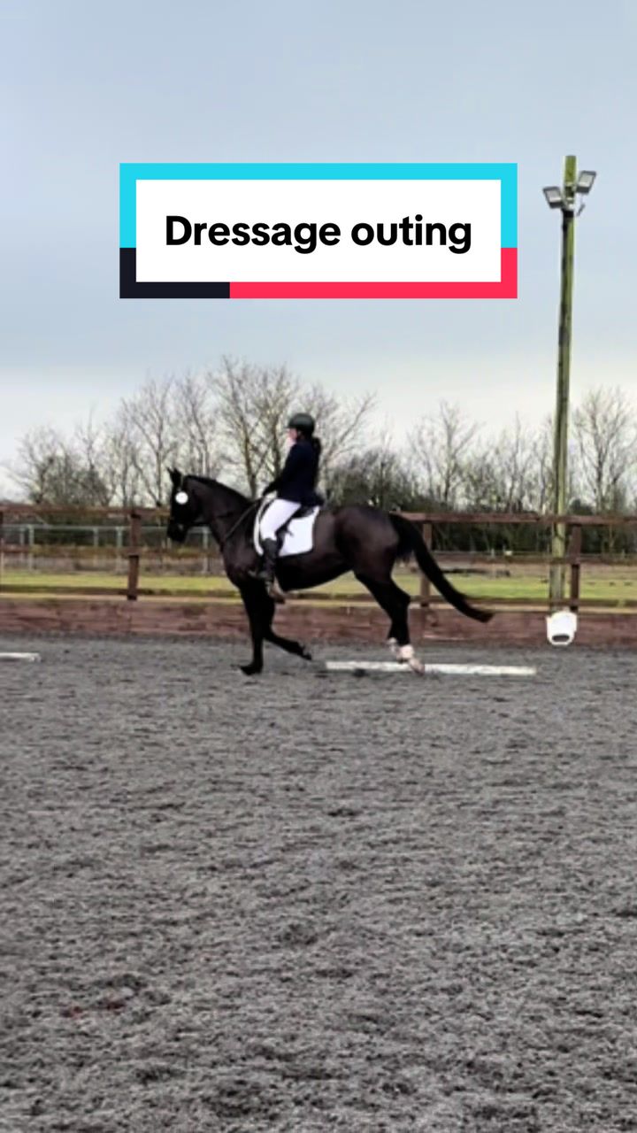 @Horses_with_Narni