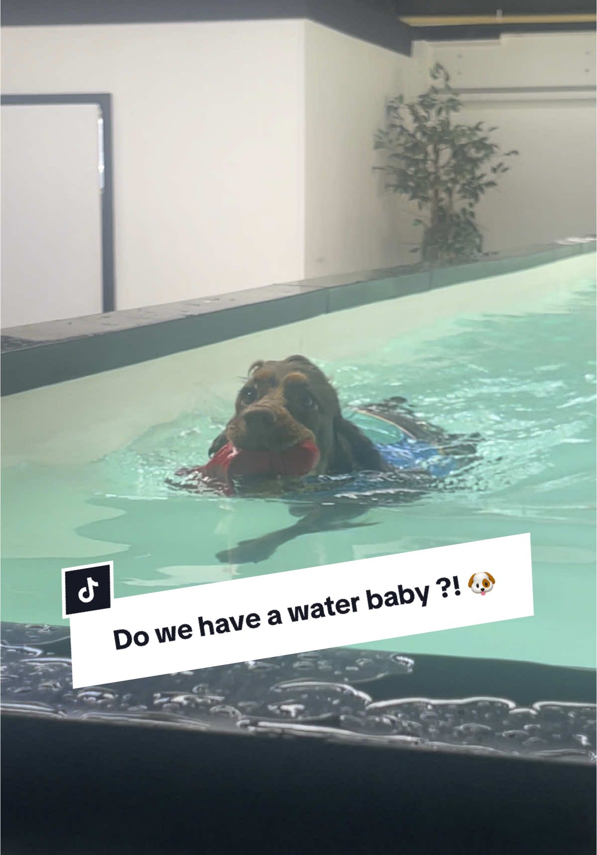 @Thewoodshome