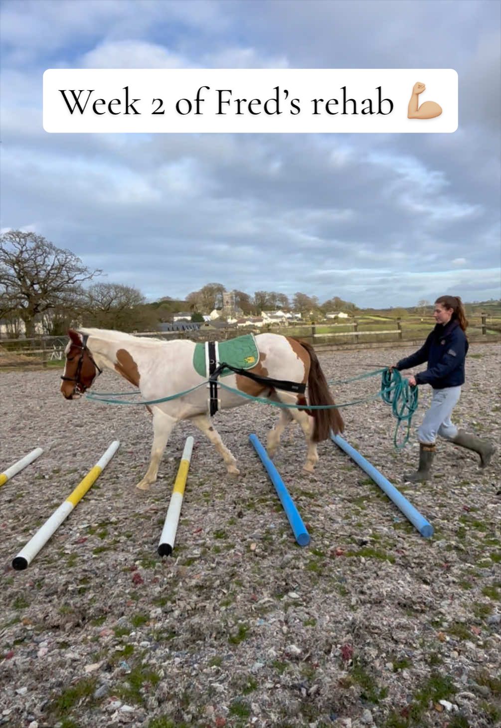 @Jess 🧠🐴🌱🐶