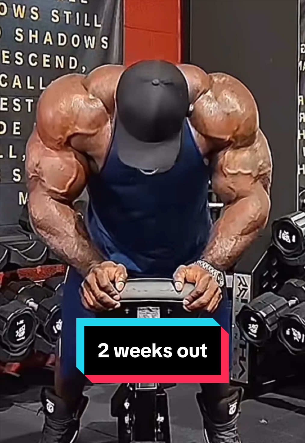 @msb_bodybuilding 🇦🇫