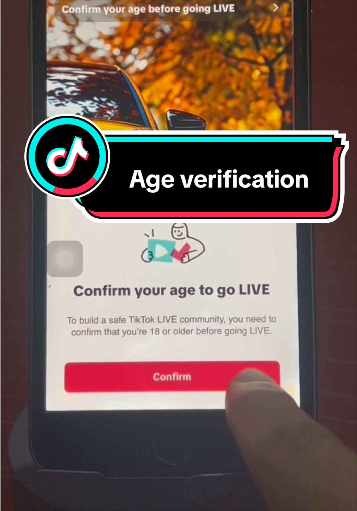 @tiktok_br_live