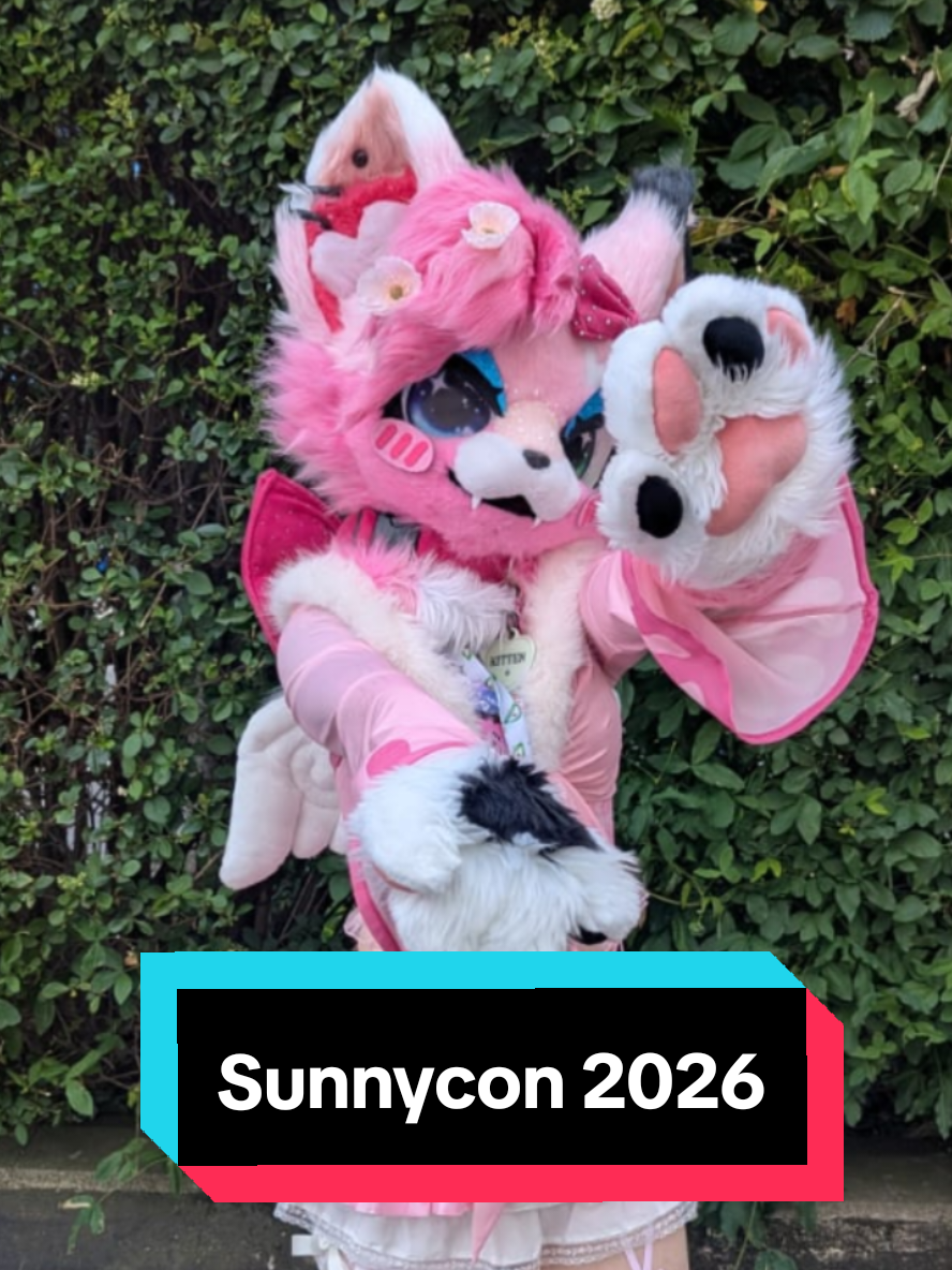 @Gigi 🔜 Sunnycon