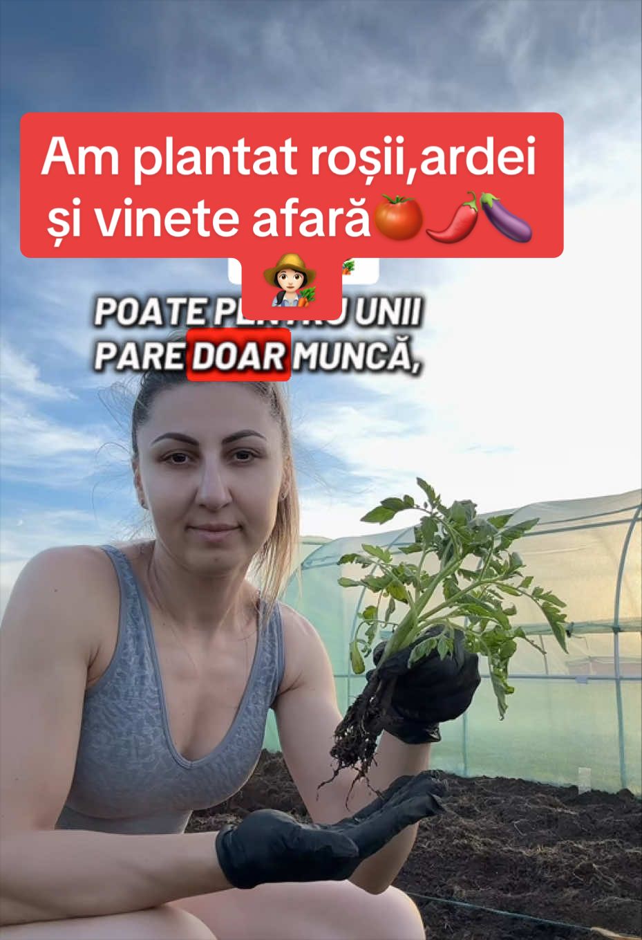 @Psalmii sufletului meu