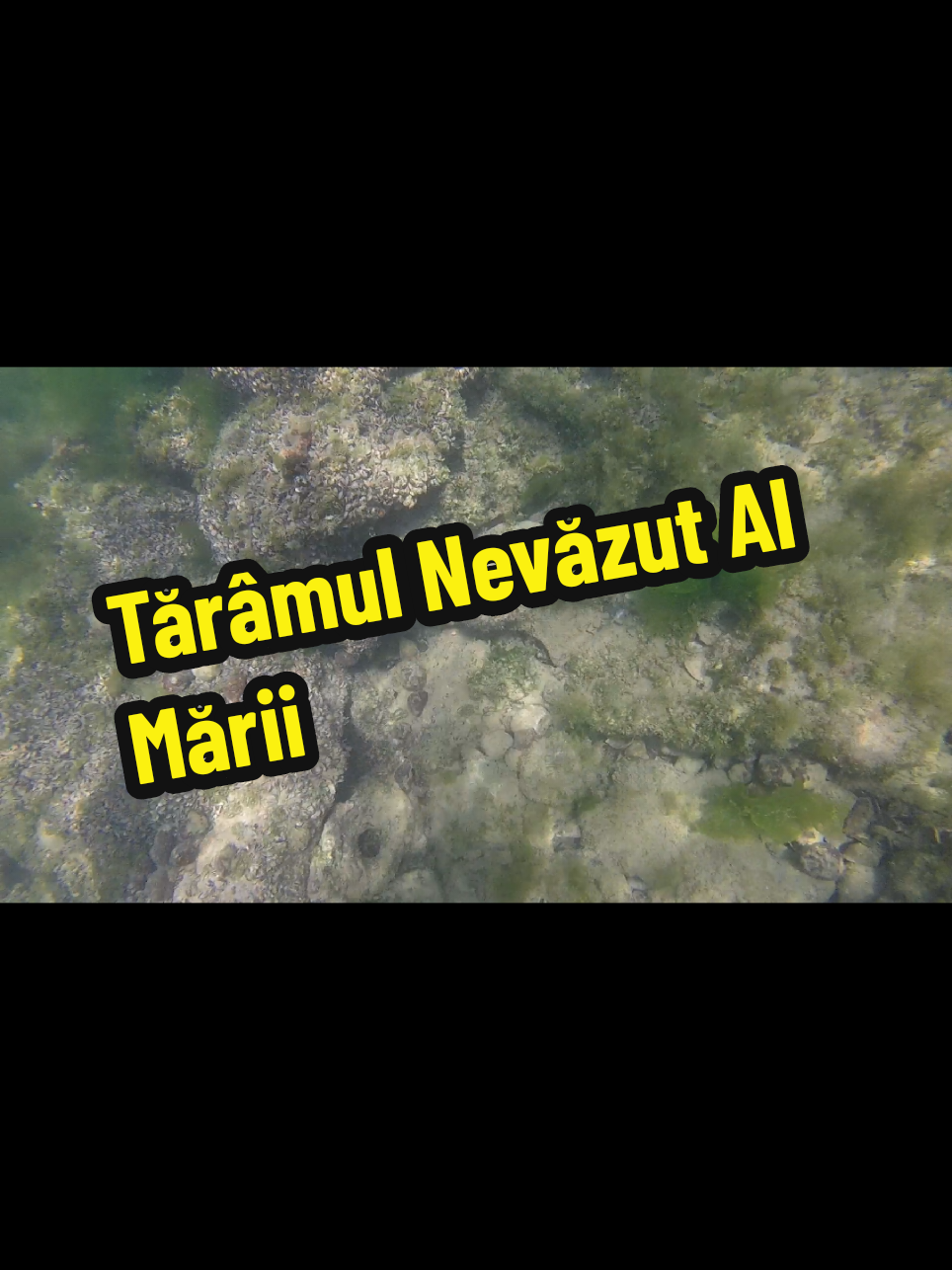 @👉 Băiatul De La Mare 🌊