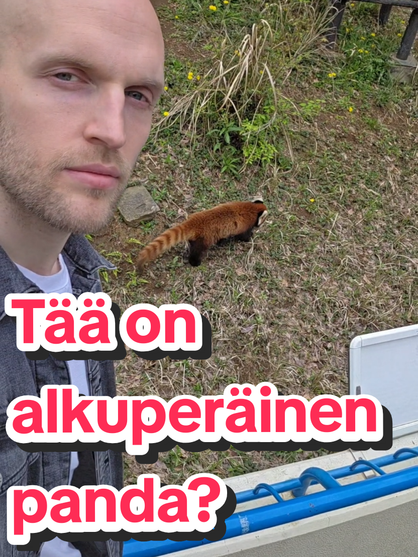 @Vesko