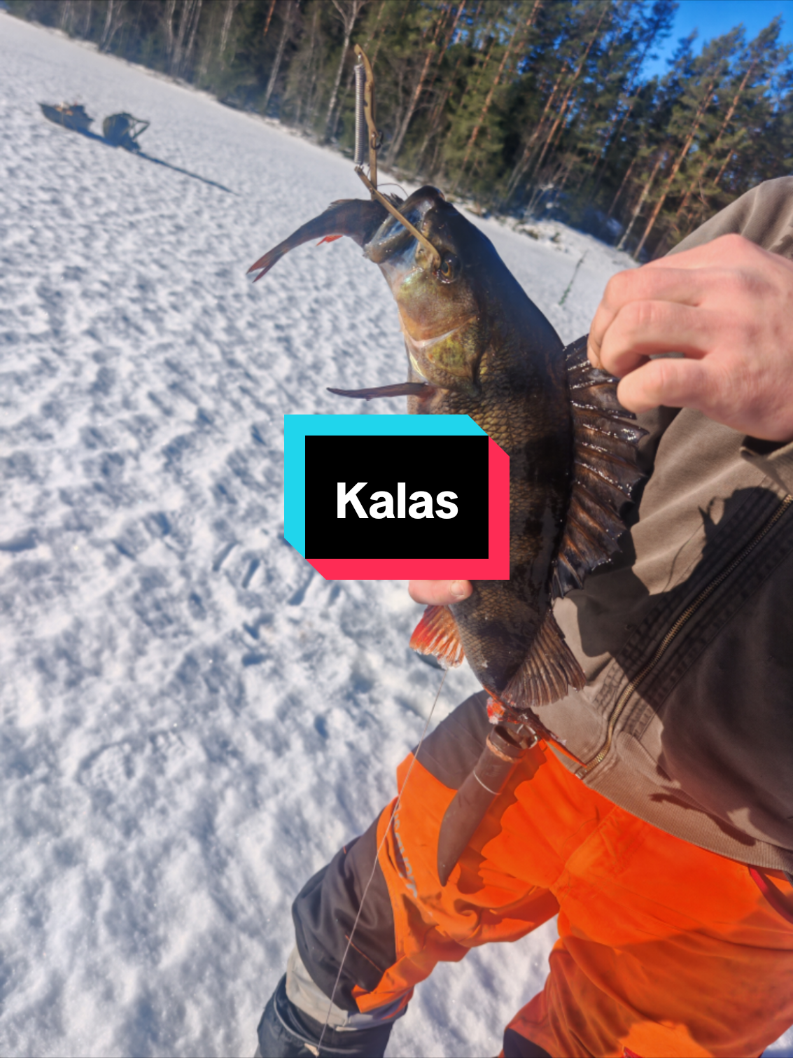 @Tuomas Äikäs
