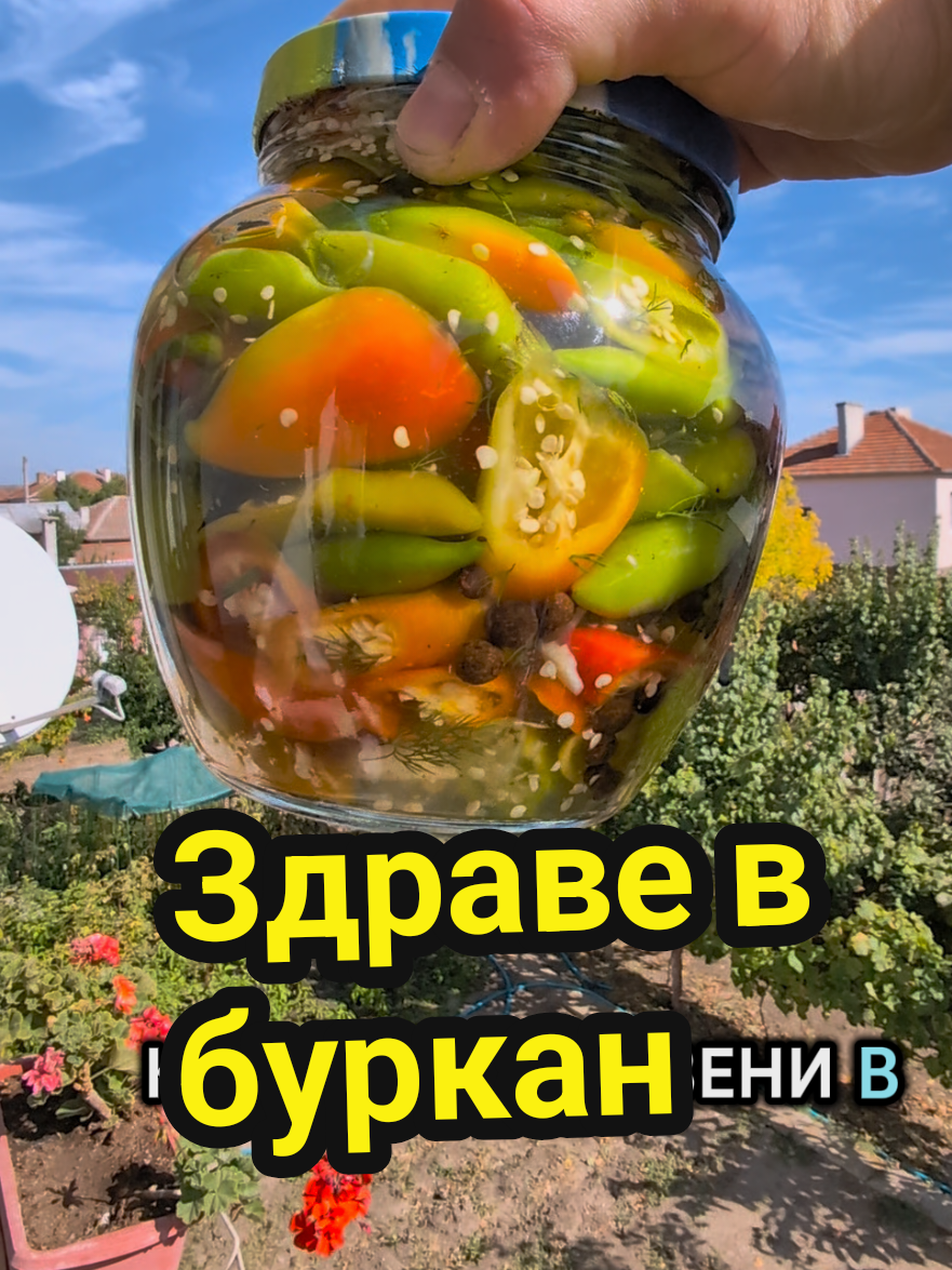 @Valentin B Naumov