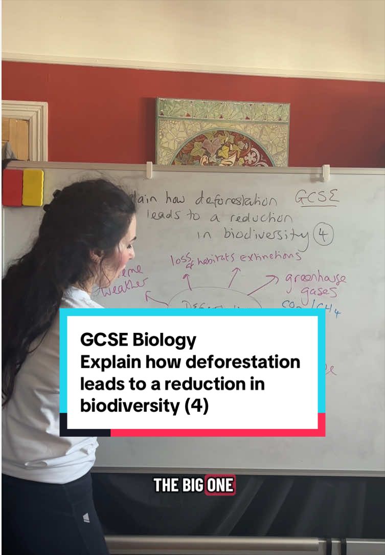 @MyEdSpace Biology