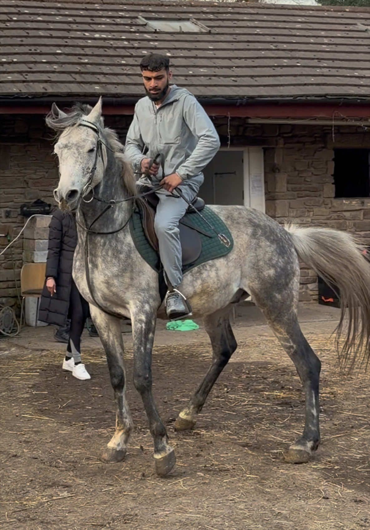 @thekhansarabianstudfarm