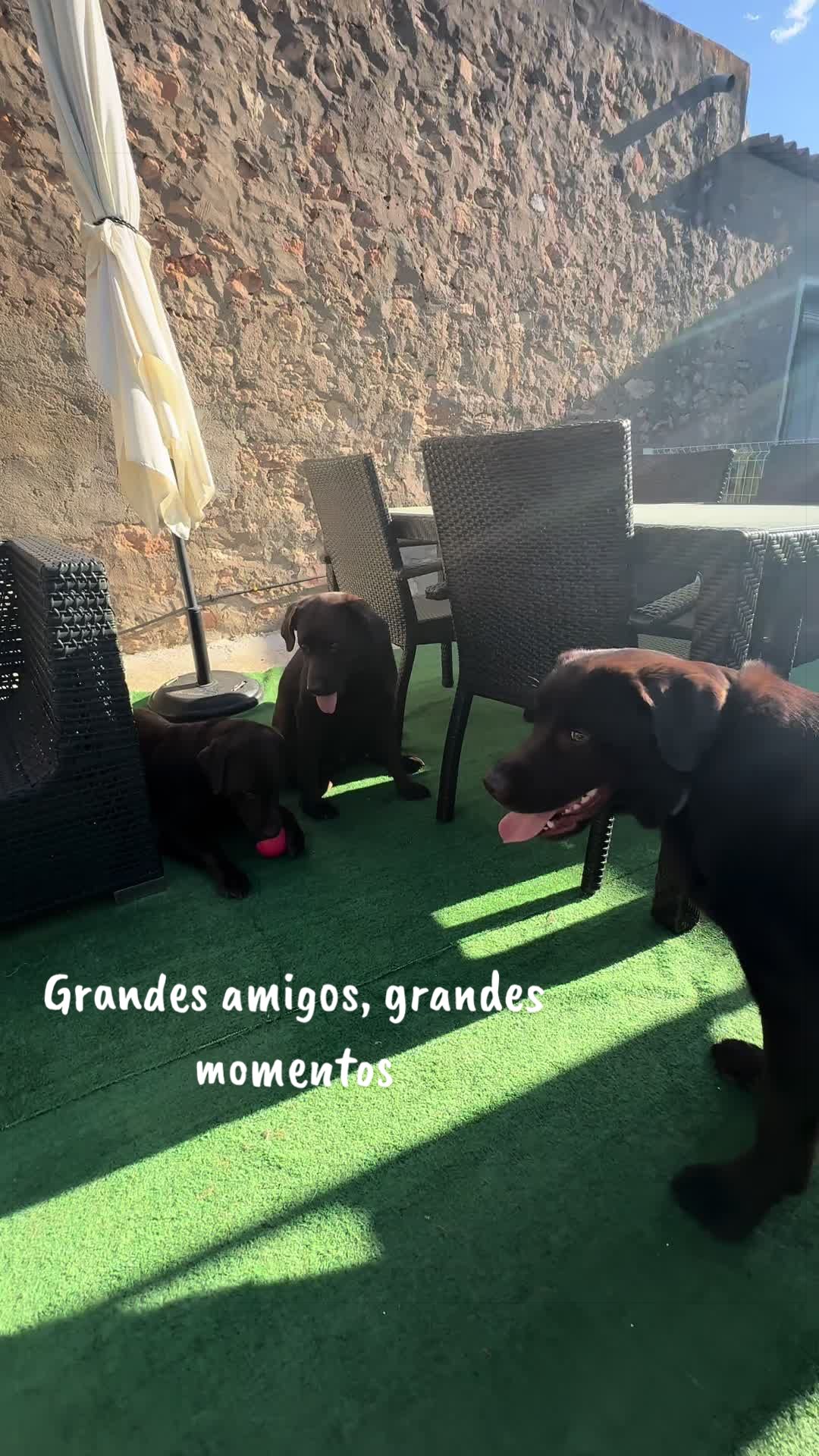 @Dos bombones
