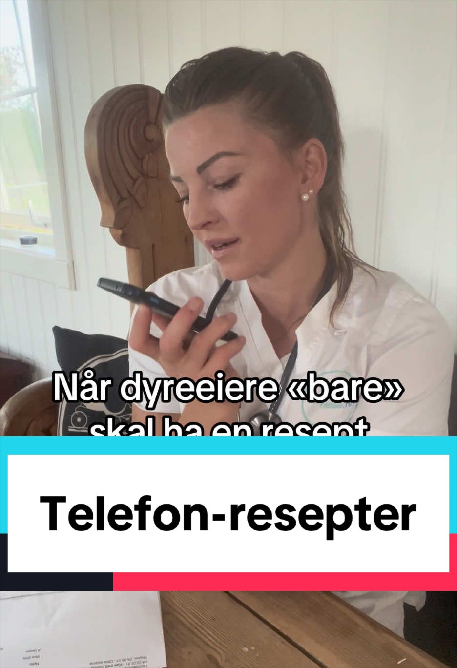 @dr.aya.vet