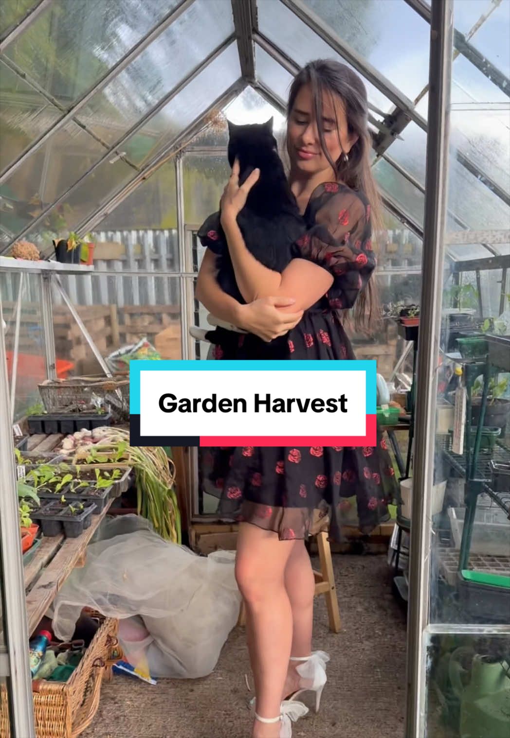@Louise’s Kitchen Garden