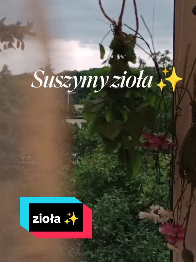 @Splotniczka-Justyna
