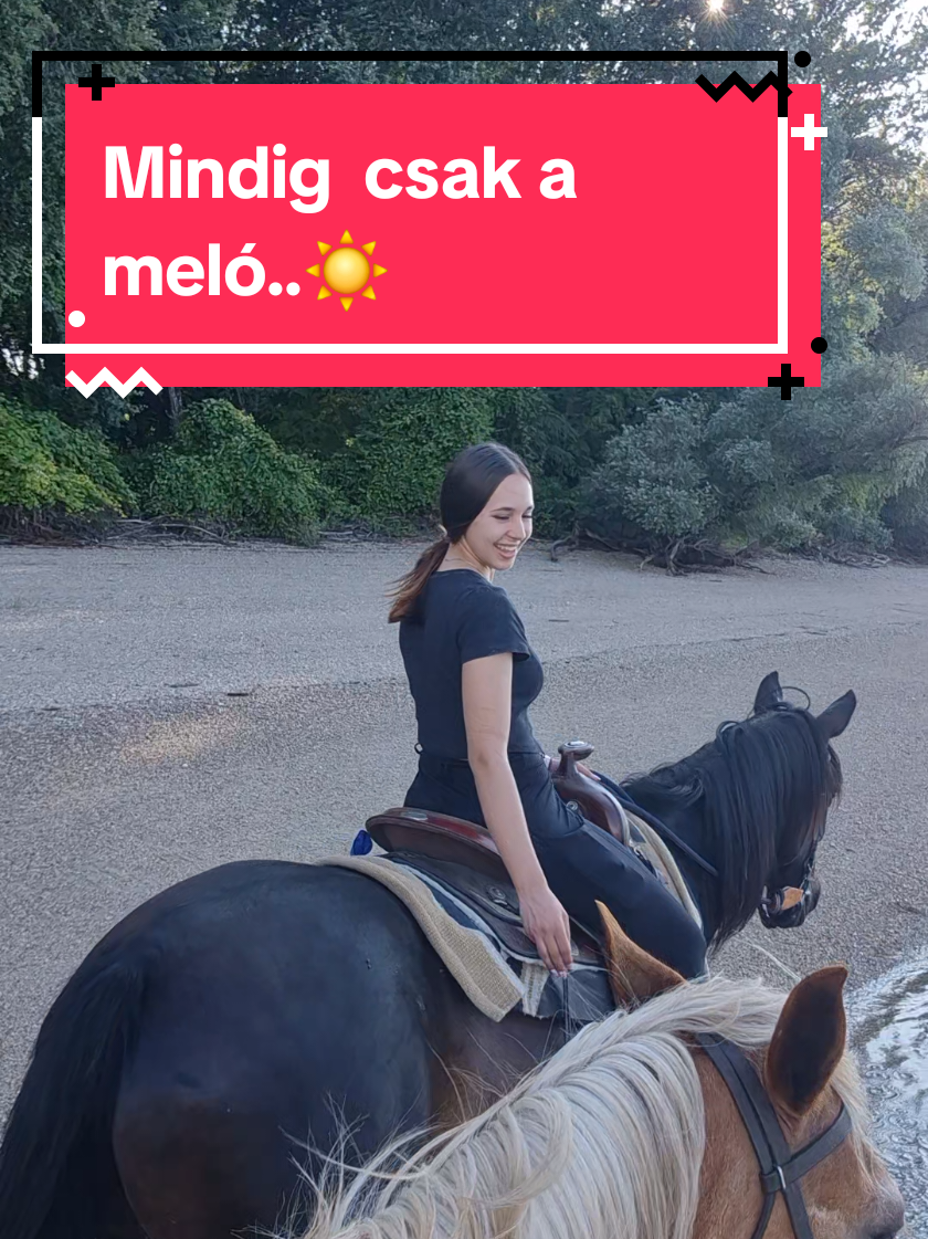 @Hal&aacute;pi Roland