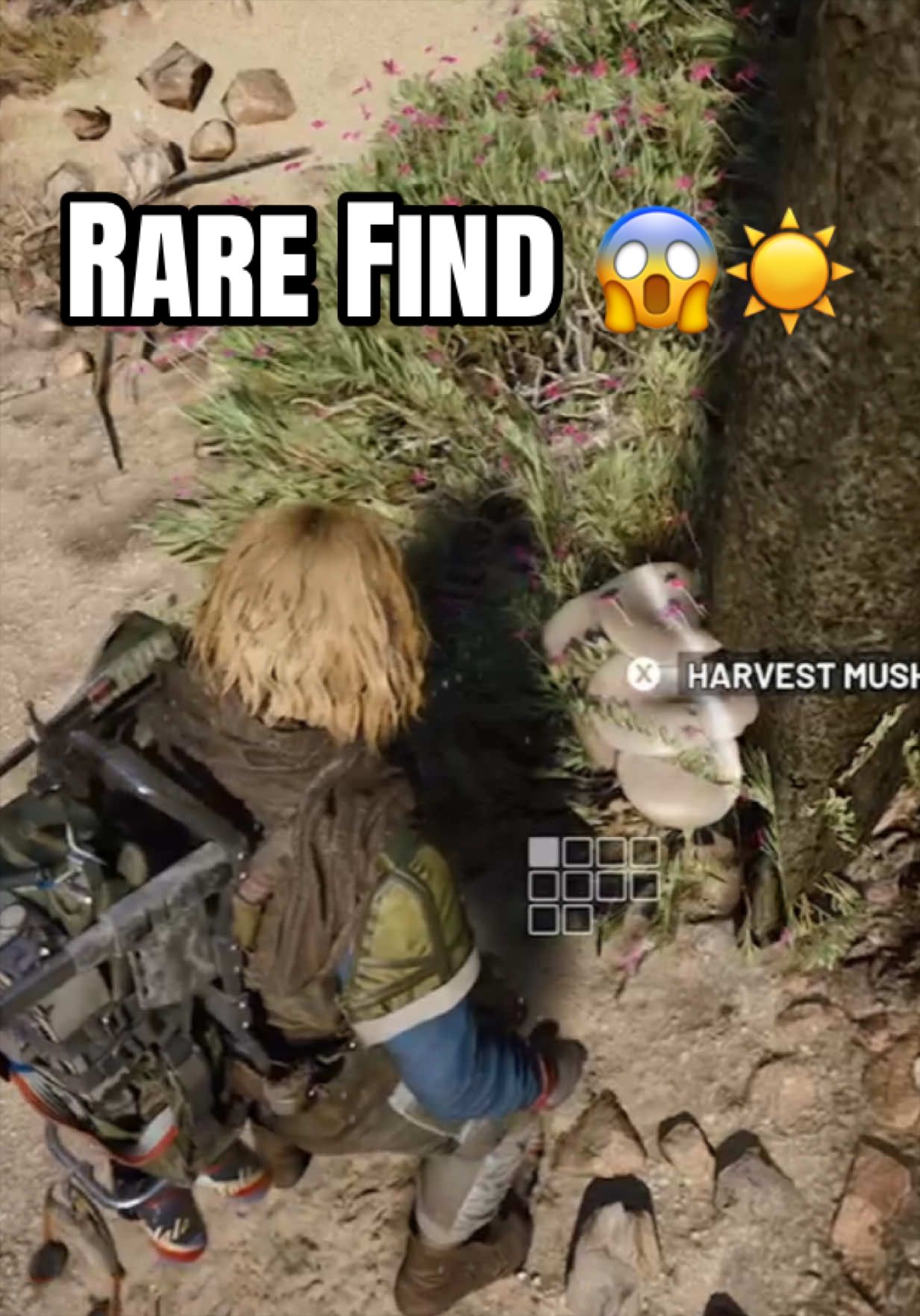 @RockerSteve01