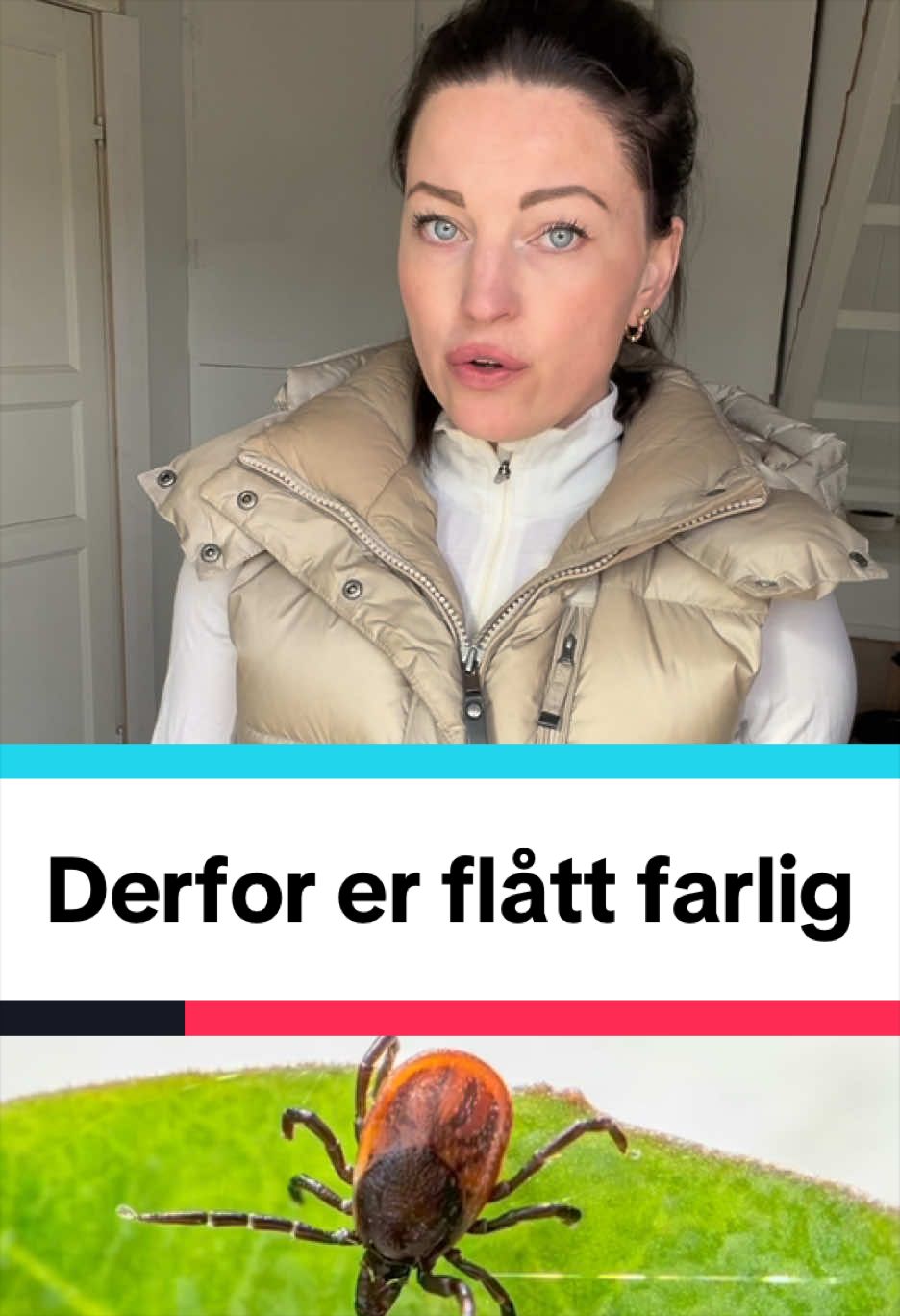 @dr.aya.vet
