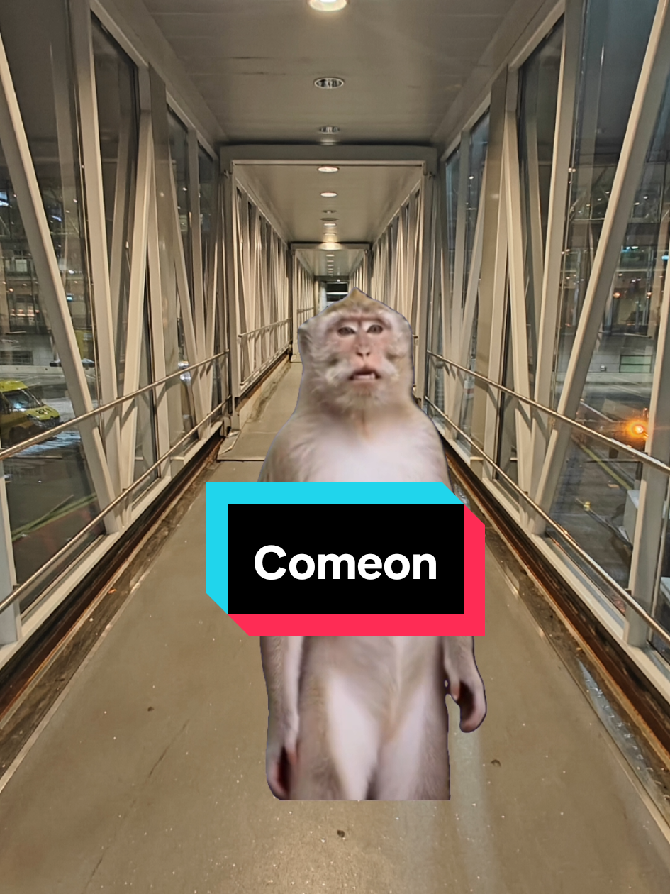 @Arlanda Memes