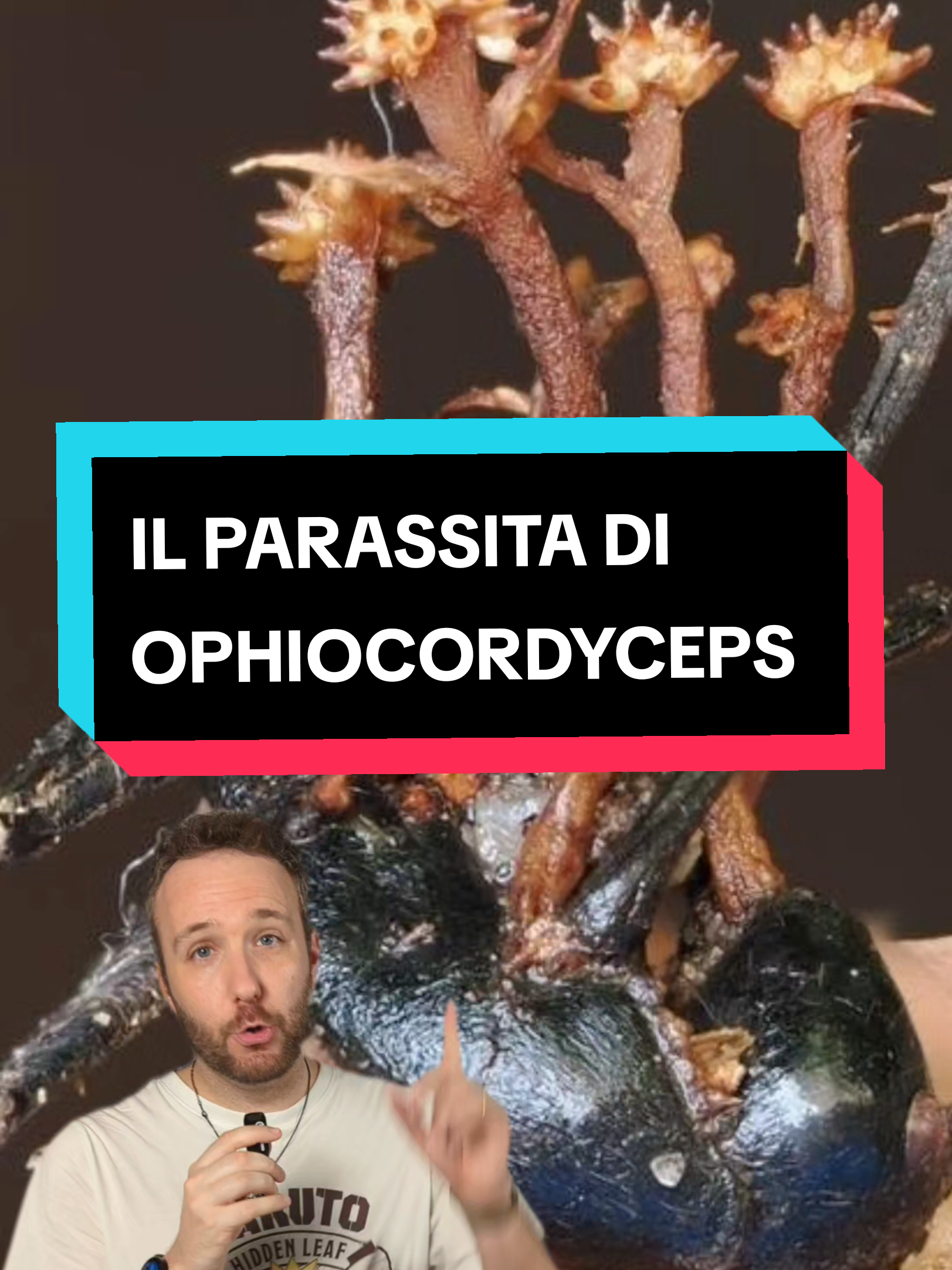 @bag of parasites