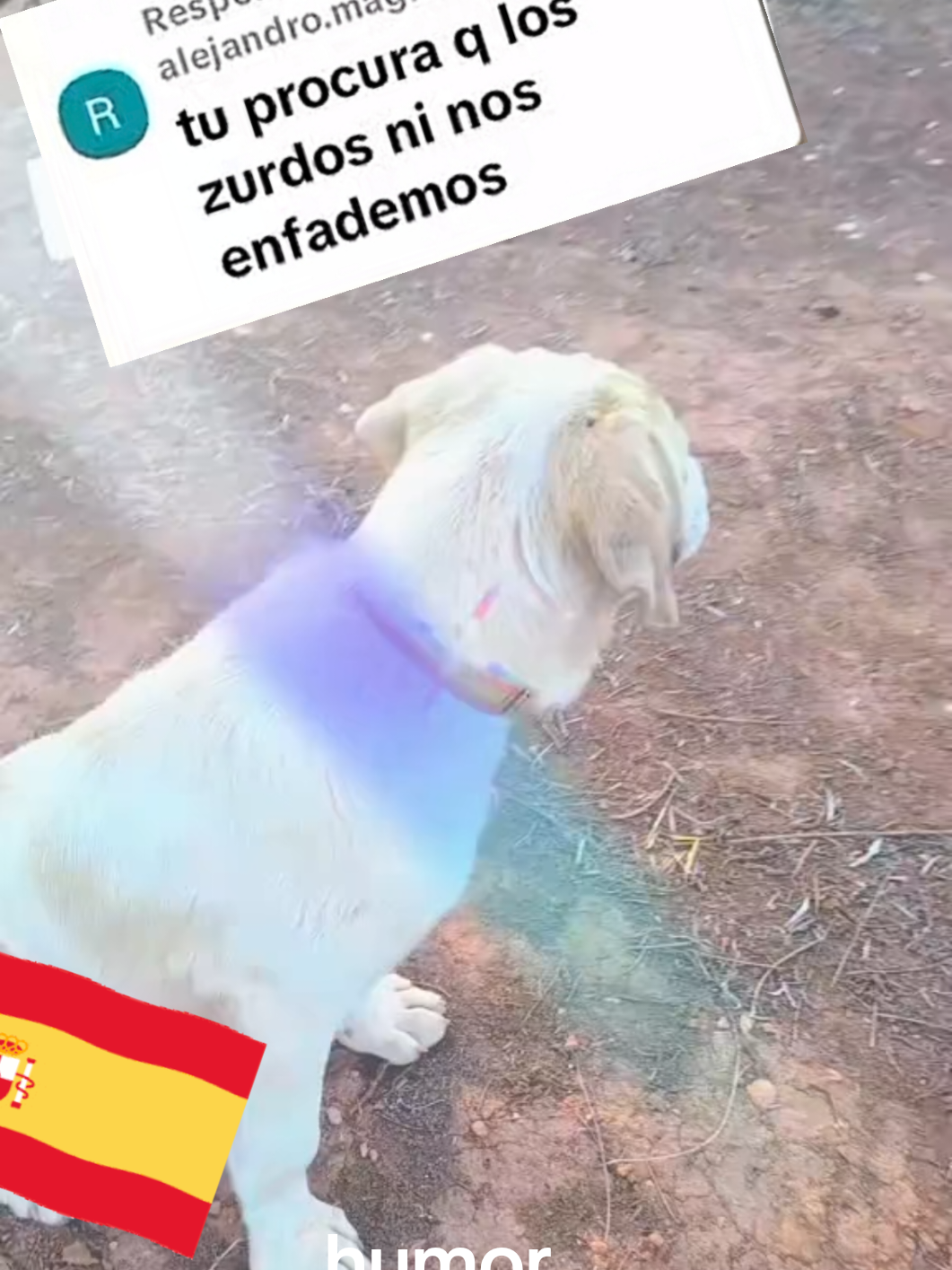 @MUJER ESPAÑOLA 🇪🇦