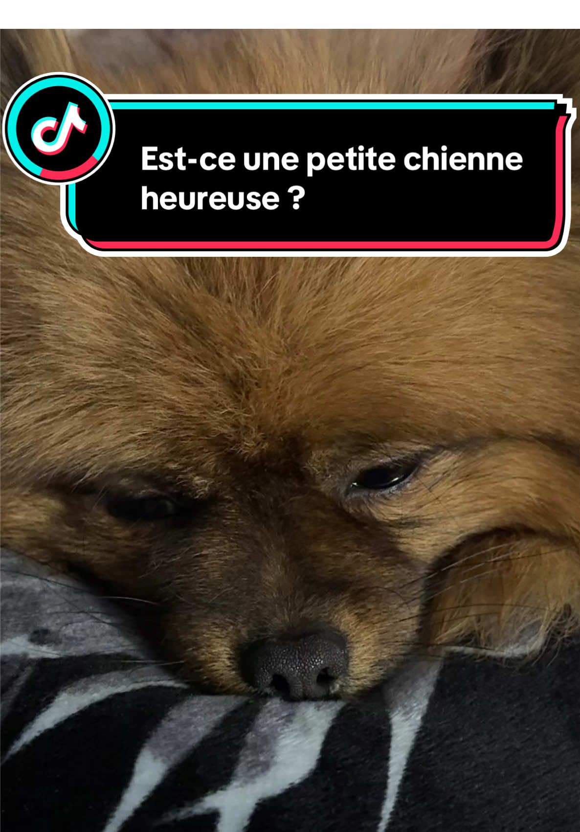 @Magicantoine