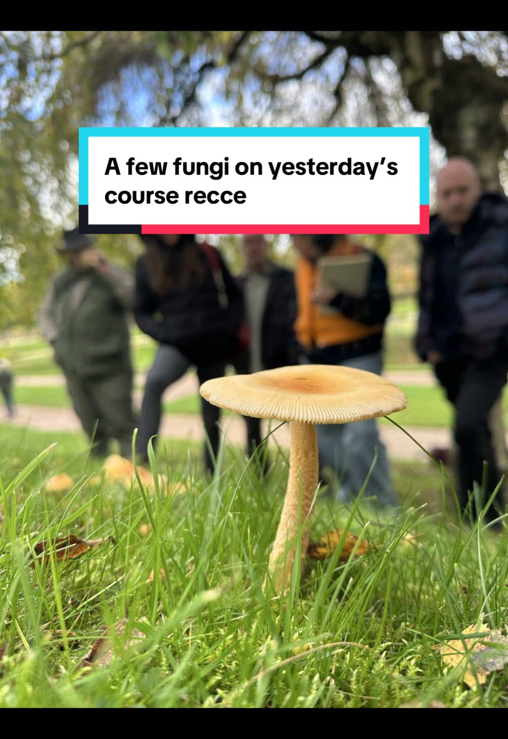 @the.foraging.course.co