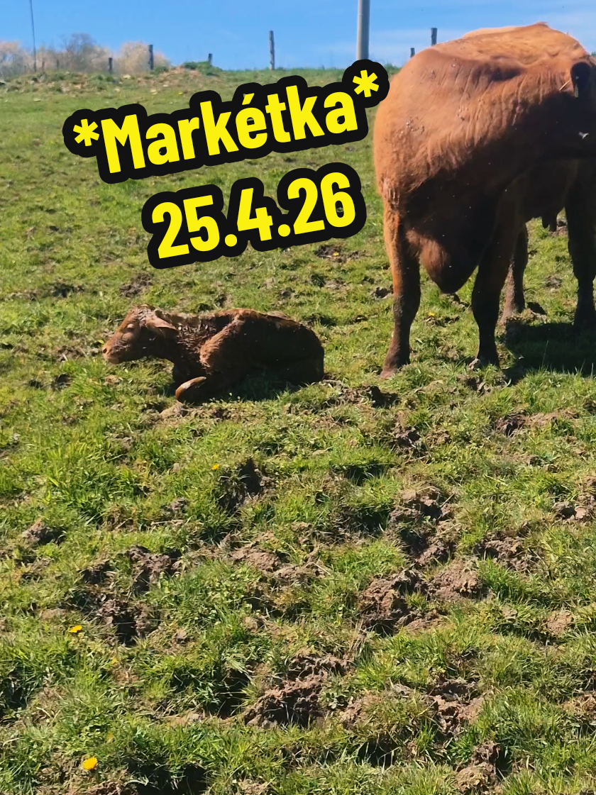 @Ekofarma Holčovice