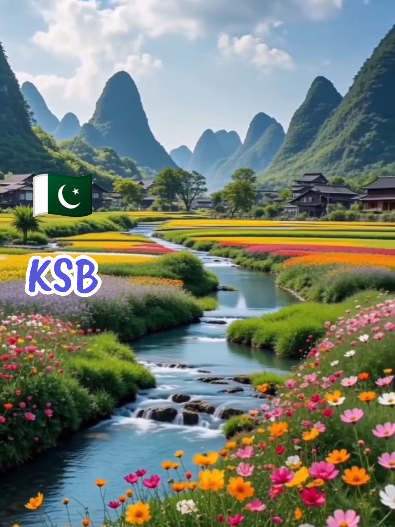 @KSB 🇵🇰