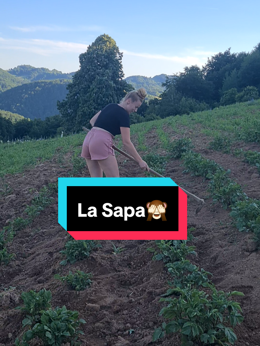 @Bonca Dorina