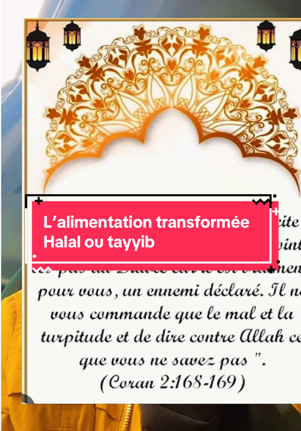@inestransformation