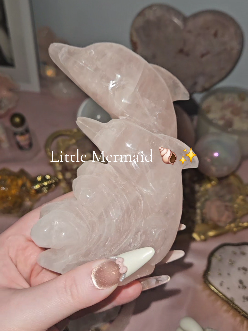 @Cinnamon Girl 🦢✨️🪞🫧