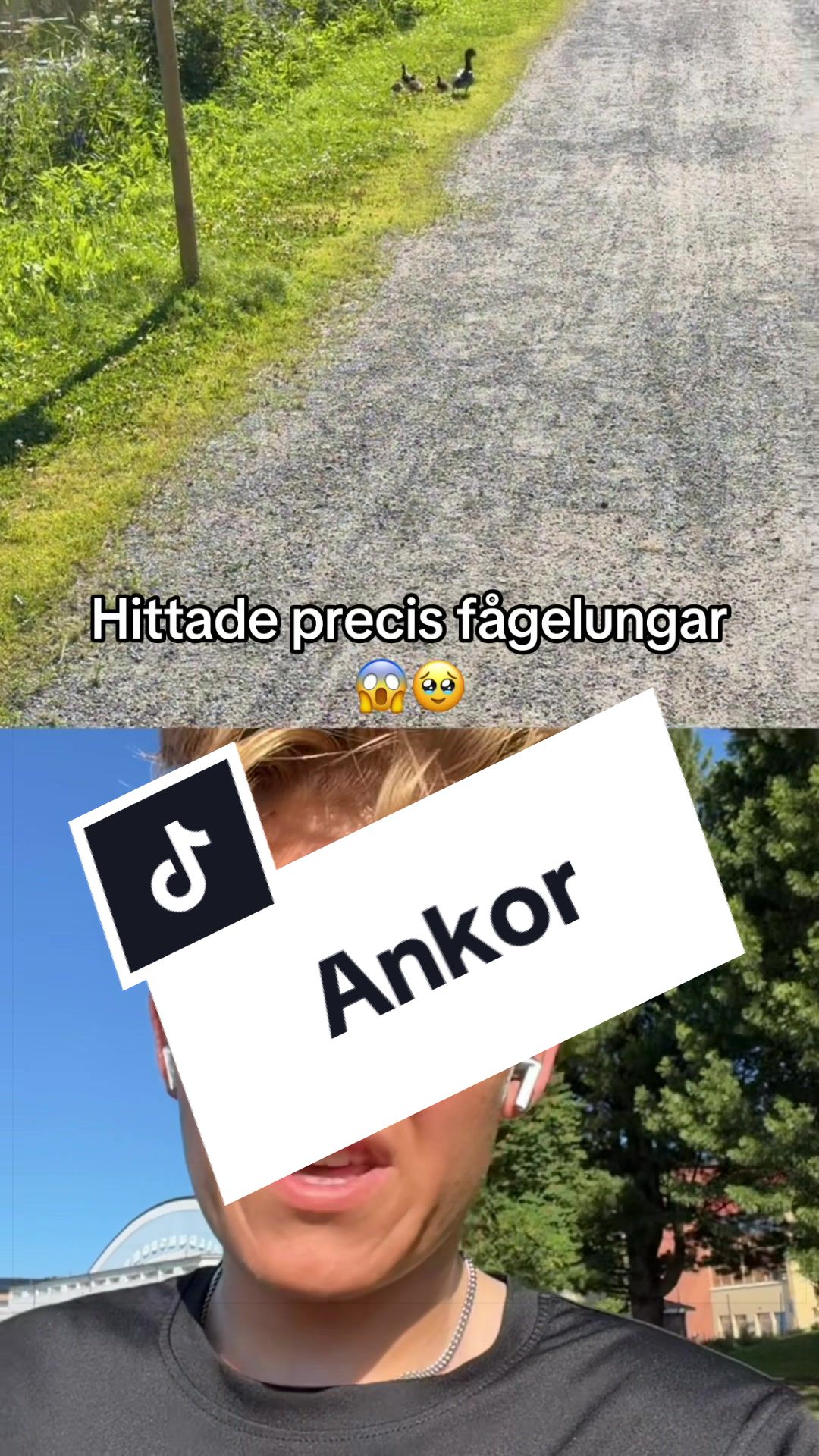 @Micke Blomberg