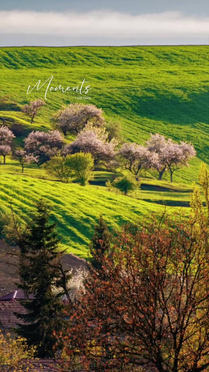 @Mirela Florica Bocan