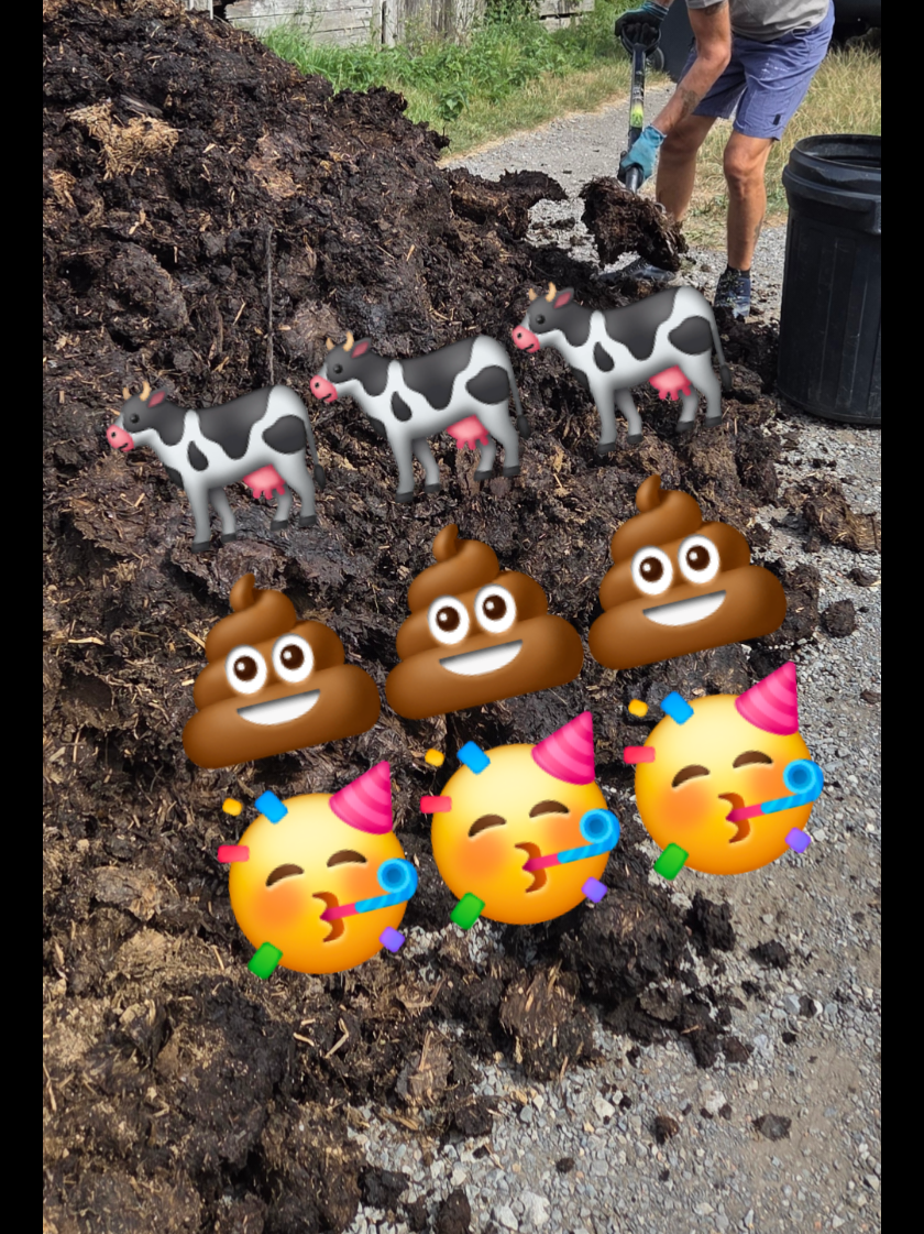 @Carrotman+Co ๐ฅ๐๐ธ