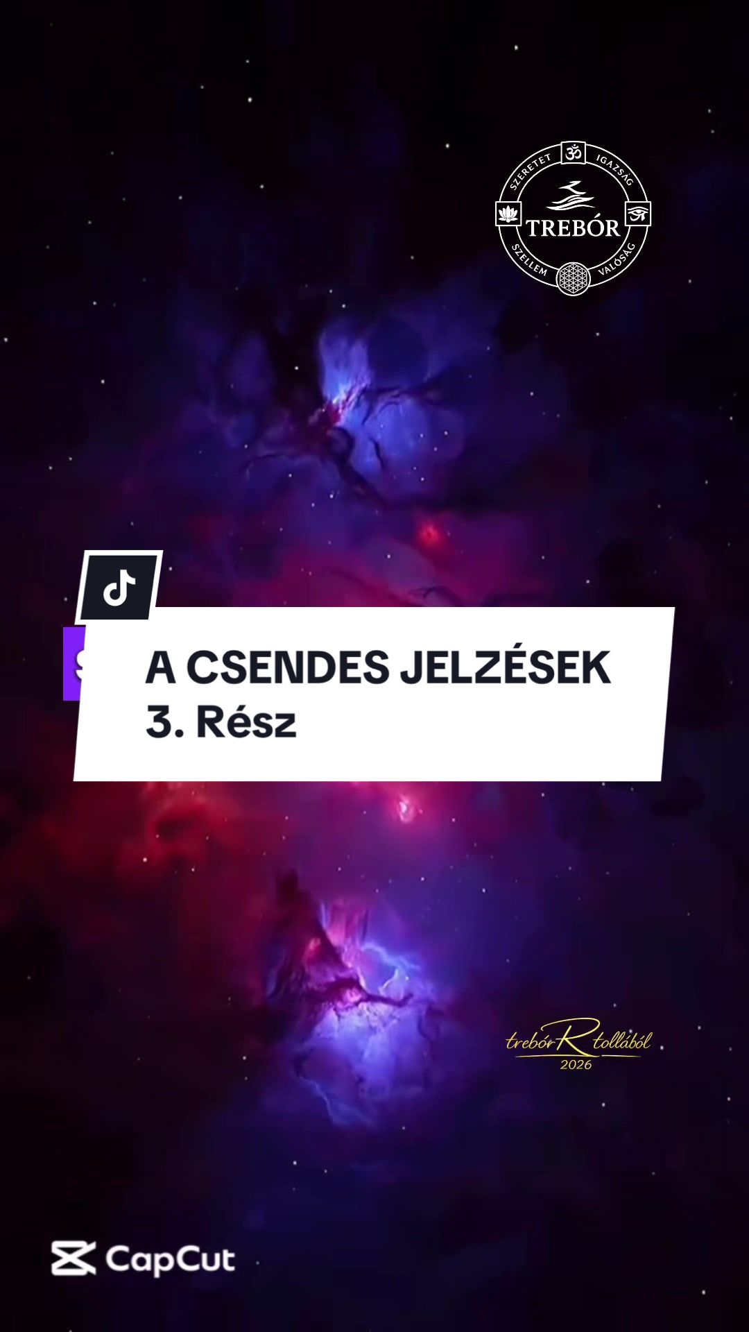 @Rajna Róbert • trebóR
