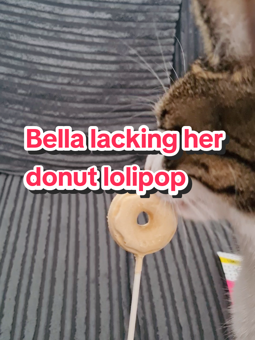 @🦁💚Mehnaz/Bella cat💚🦁