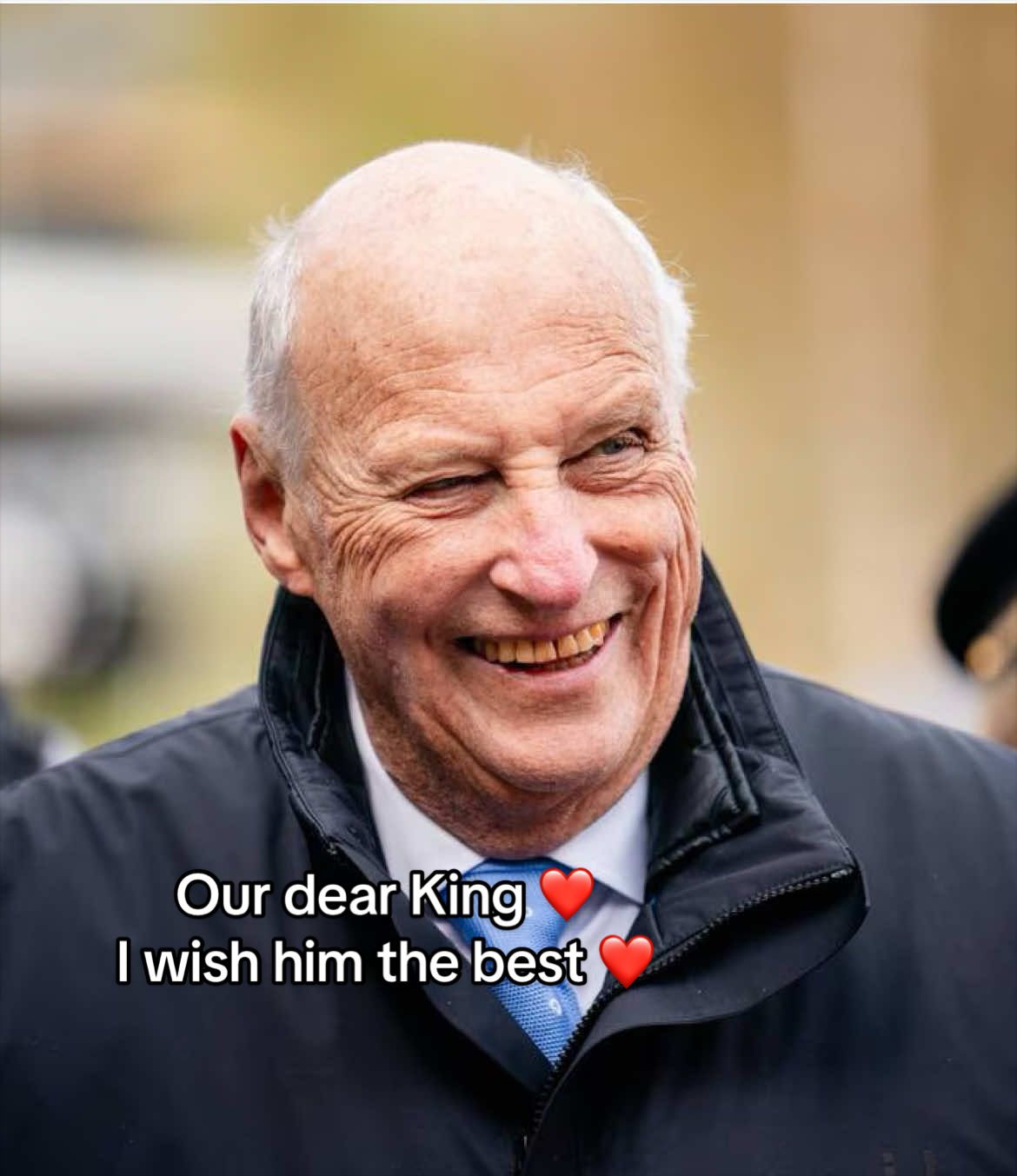 @Royal Påfugl