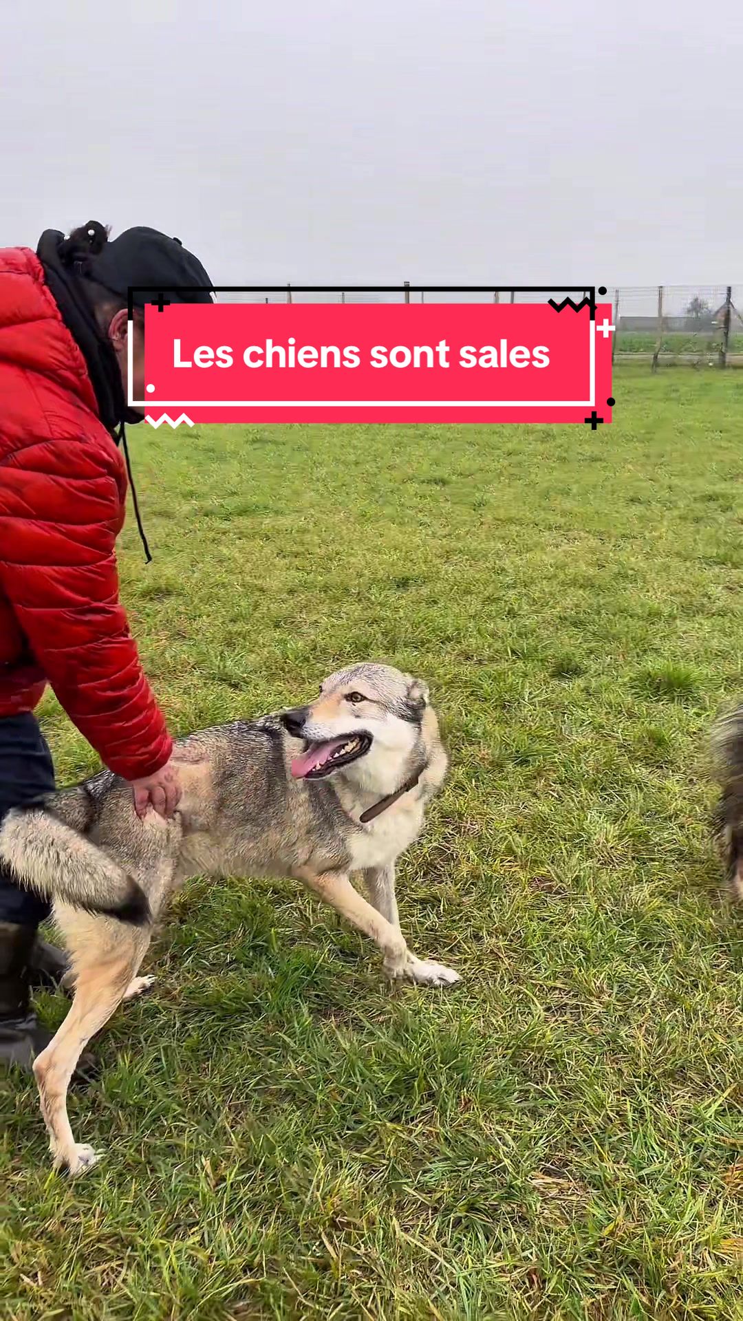 @La meute d’Otone 🐺