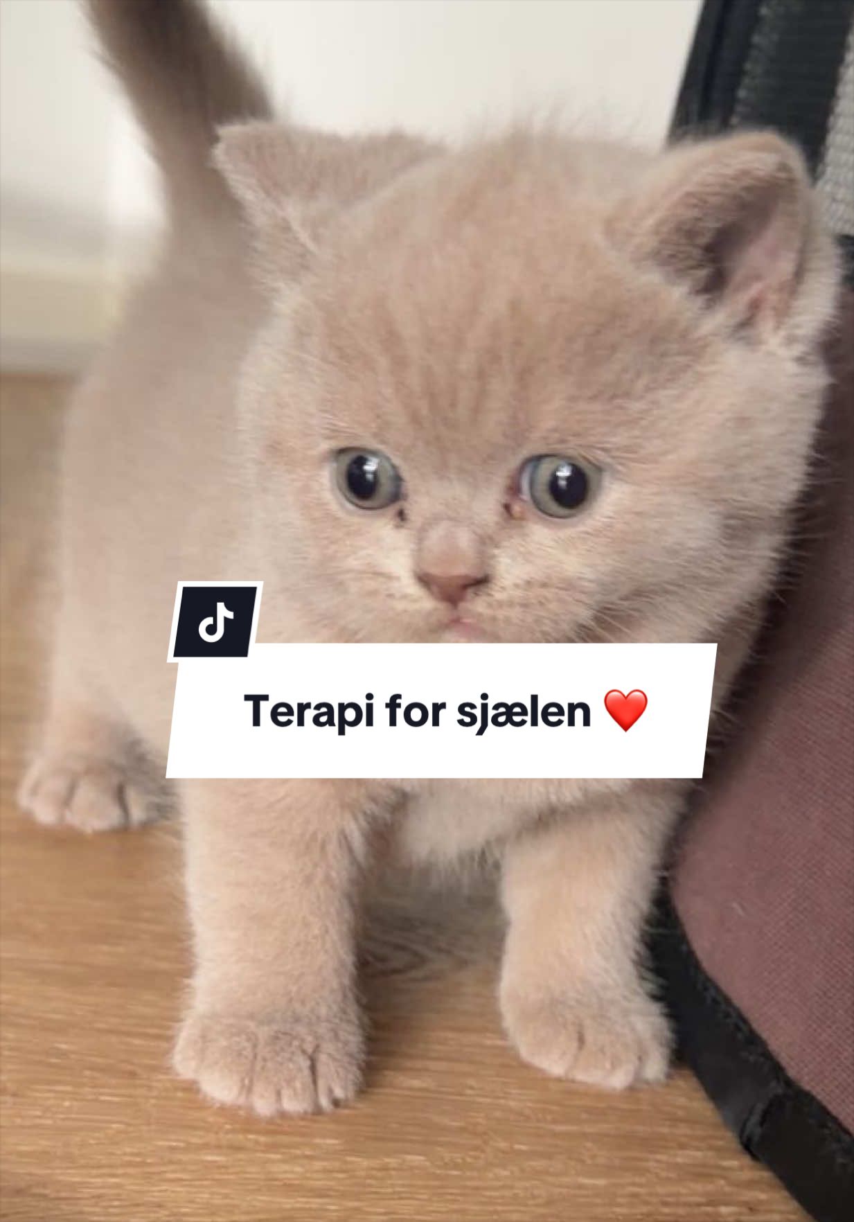 @Hirijet29♥️