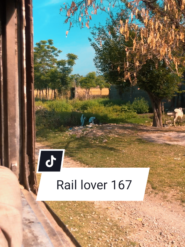 @Rail lover 167