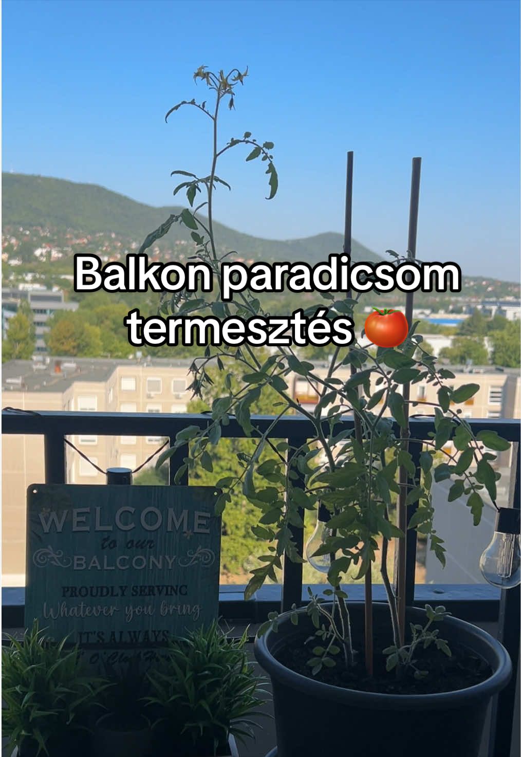 @Barbee Official