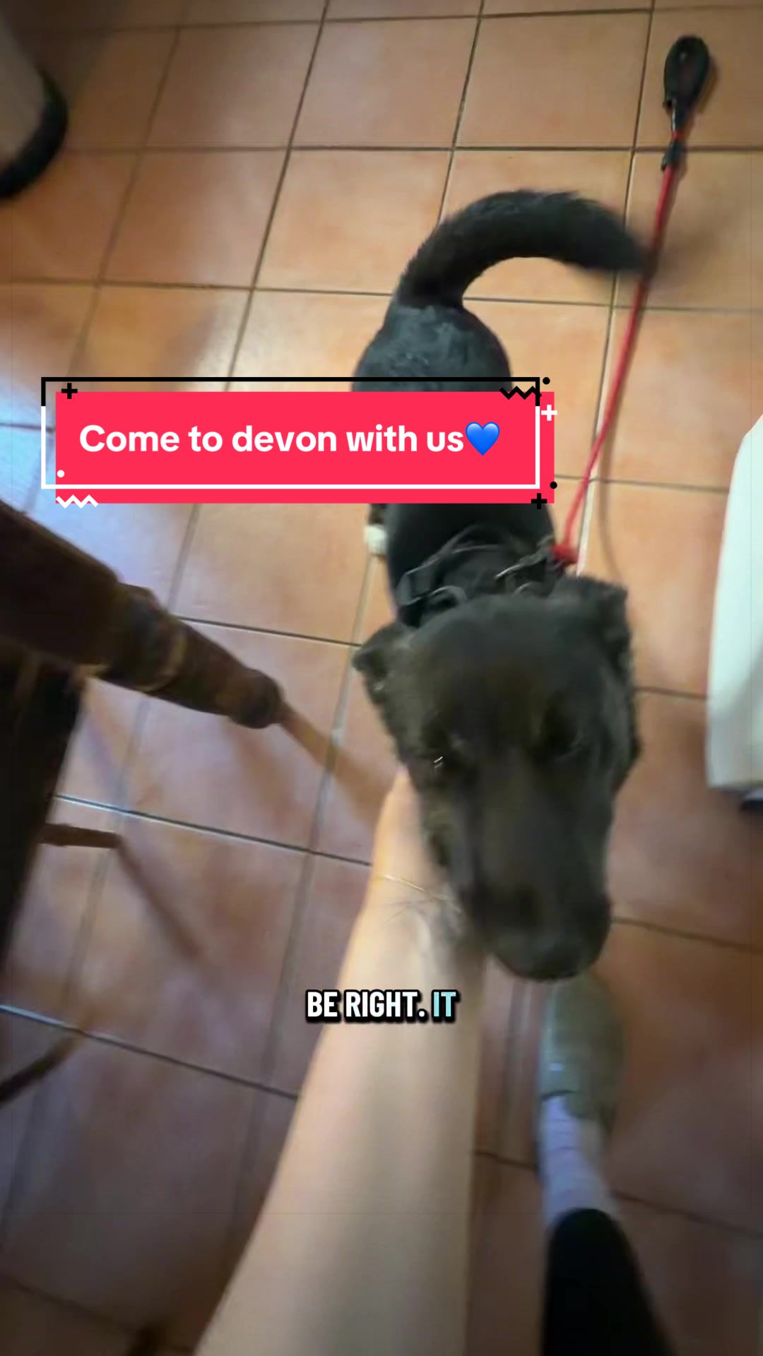 @Sheldon The Retriever