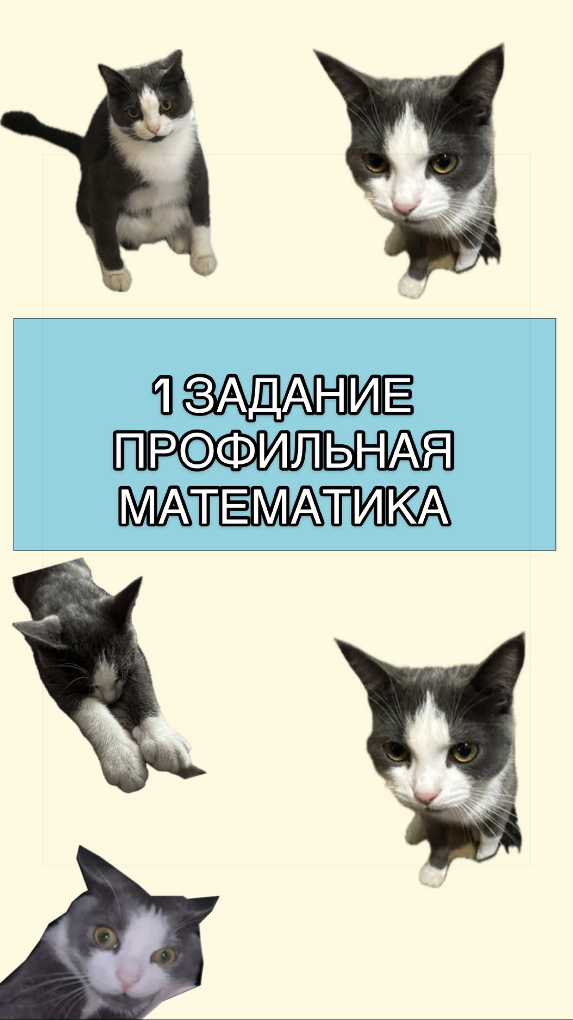@Математика с Лизой