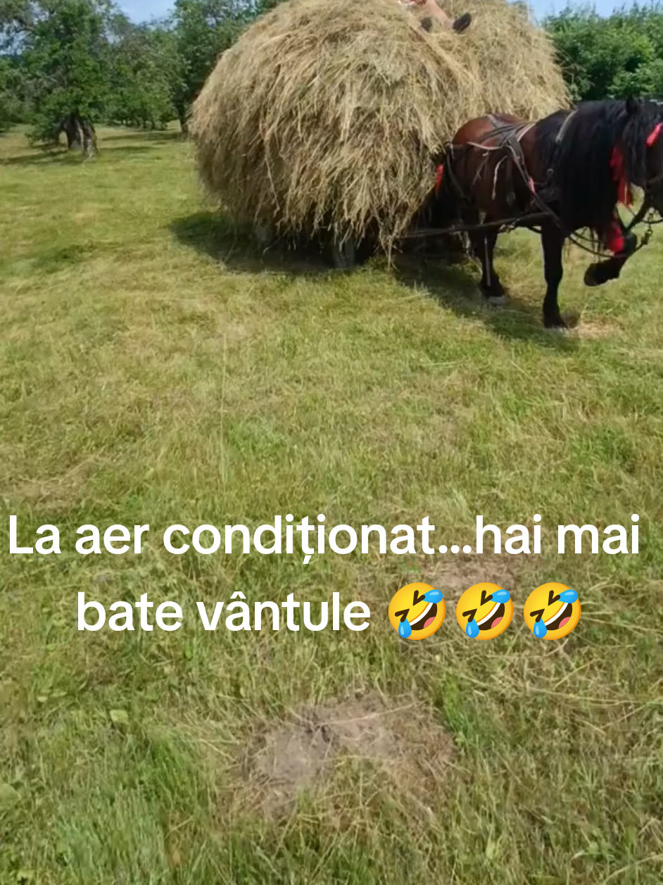 @Kentosanu