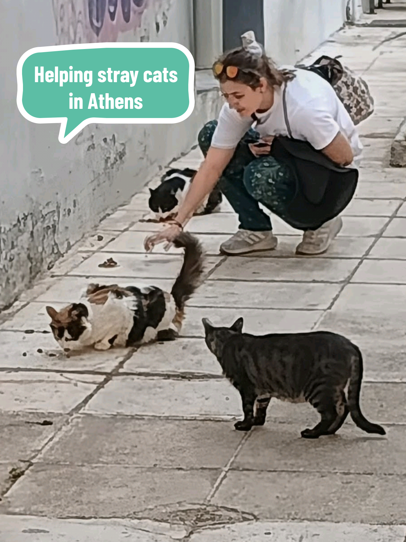 @Greek Animal Rescue