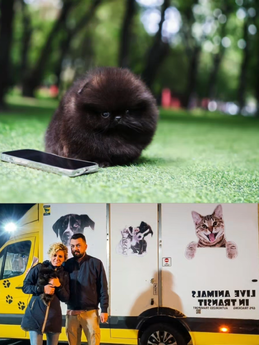 @Tiny Treasures Tea Cups