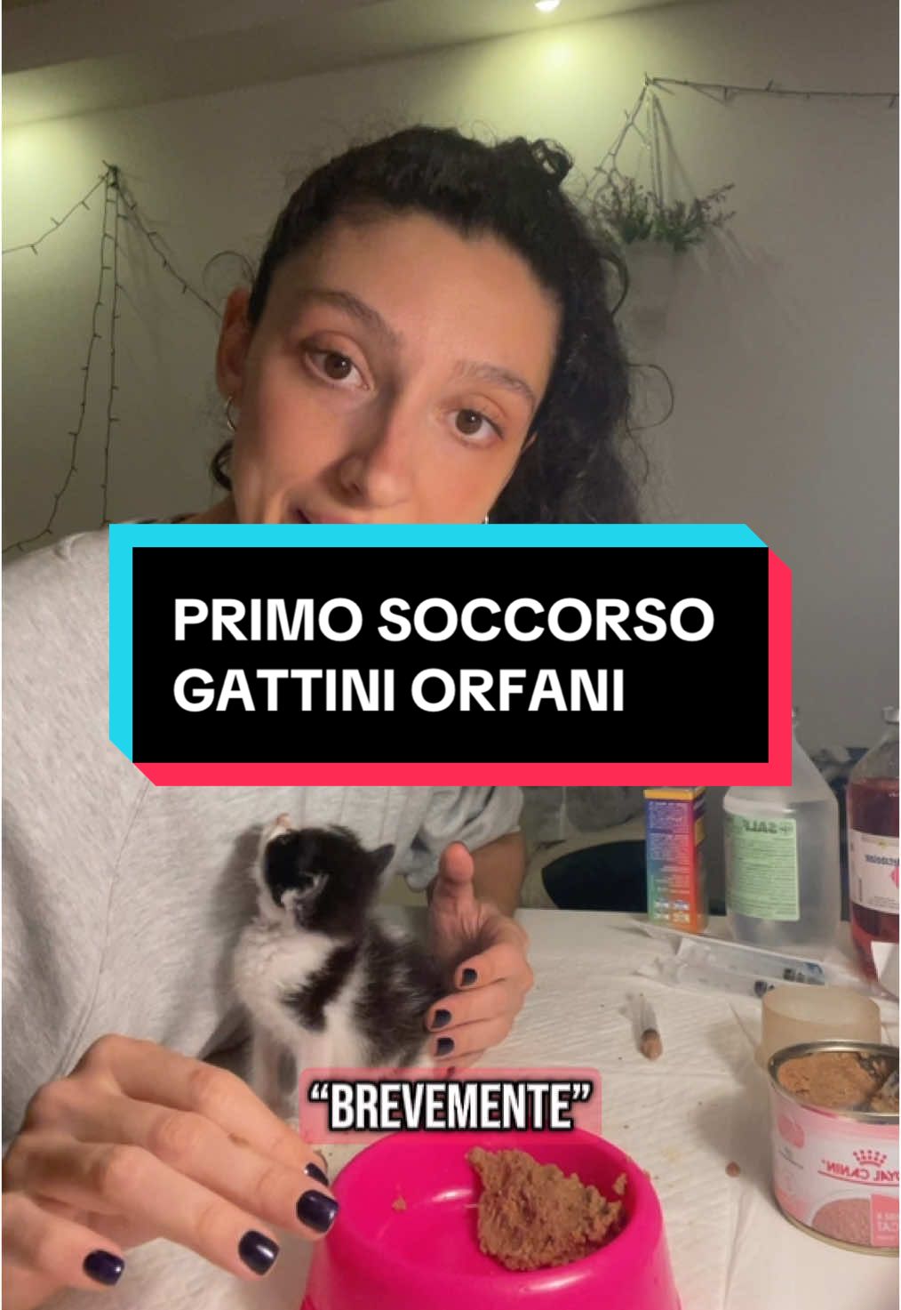 @chiaratarquini