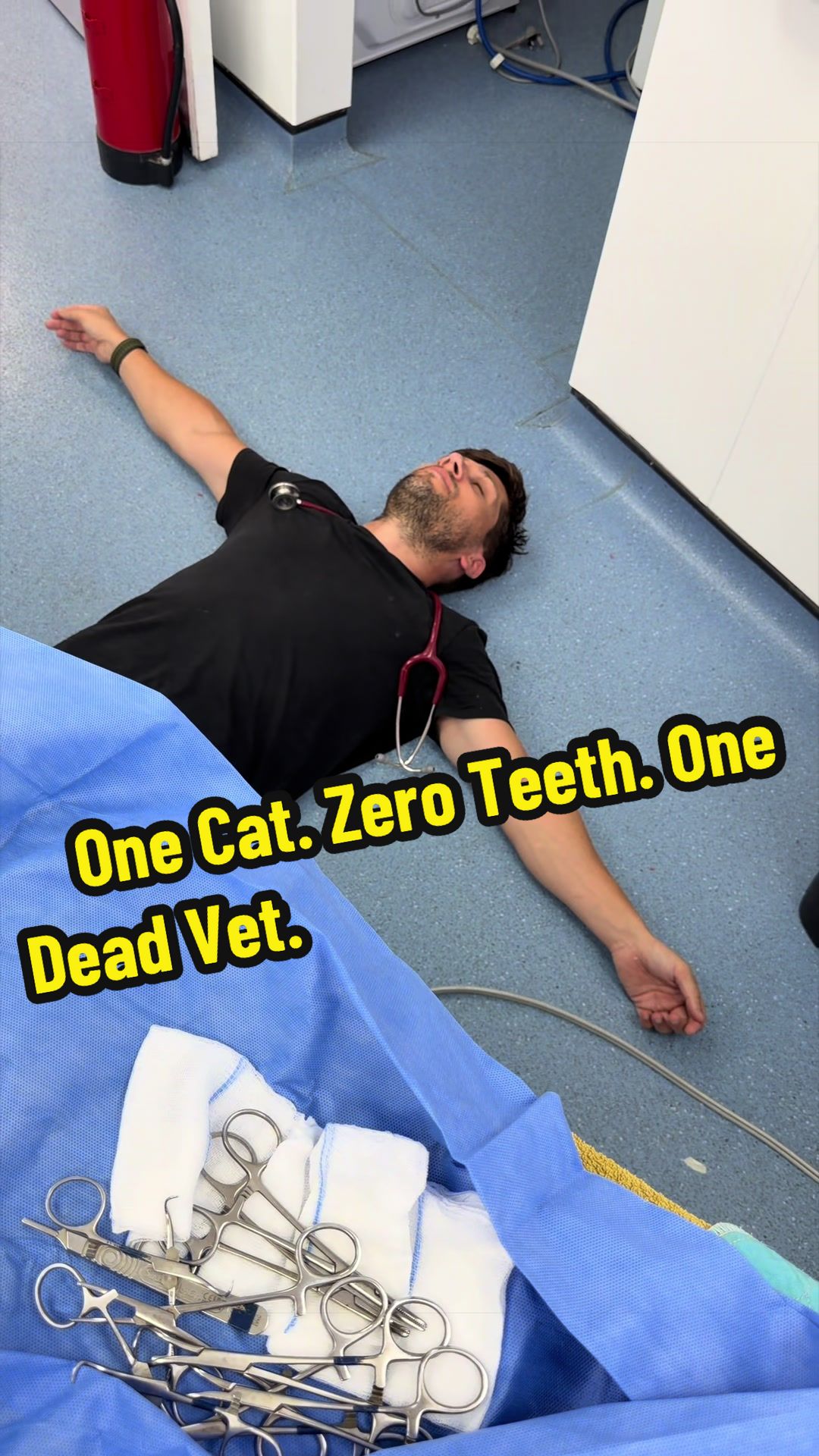 @Tomasthevet